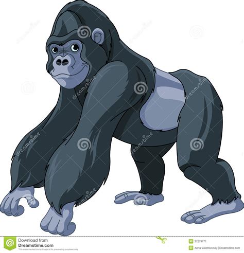 Gorilla Stock Image - Image: 37279771