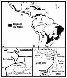 Distribution Of Tropical Dry Forest Region In The Ameri Cas Map