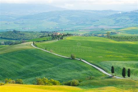 Val D`orcia Landscape In Spring Hills Of Tuscany Cypresses Hills