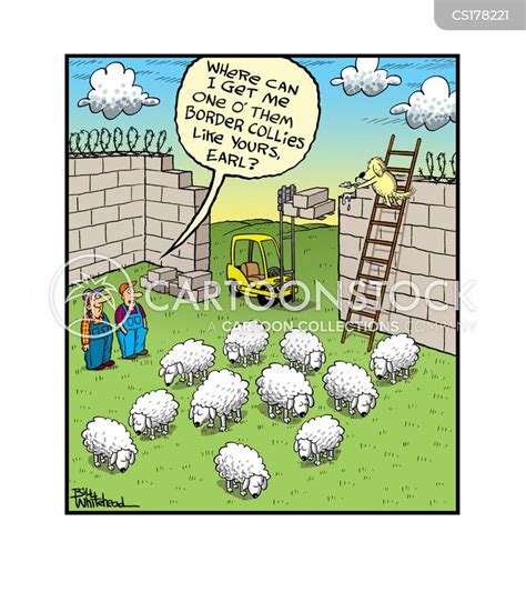 Herding Sheep Cartoons And Comics Funny Pictures From Cartoonstock