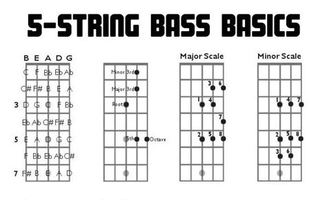 Five String Bass Guitar Charts Fretboard Diagrams Intervals Scales Music Teaching
