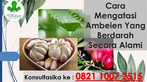 Check spelling or type a new query. Obat Ambeien - Cara Mengatasi Ambeien Yang Berdarah Secara ...