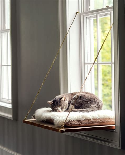 Cat Window Perch Treat Your Feline By Building Her A Place In The Sun