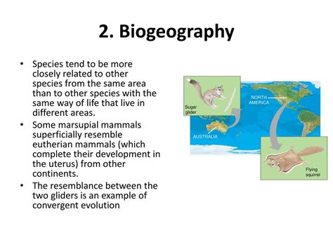 Ppt Evidence For Evolution Powerpoint Presentation Free Download