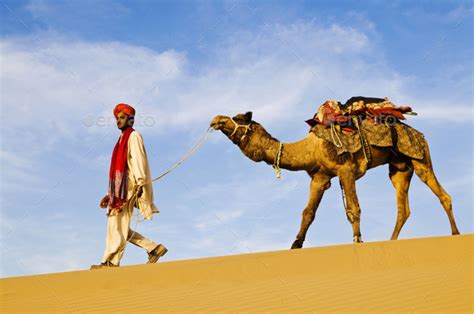 Indigenous Indian Man Walking Through The Desert With His Camel Stock