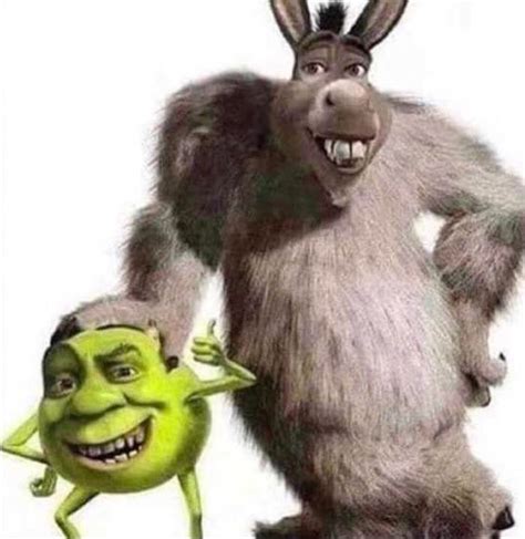 Donkey And Shrek Memes Shrek Memes Divertidos Imágenes Humorísticas