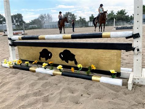 Home Made Horse Jumps Gallery Home Made Horse Jumps Horse Jumping