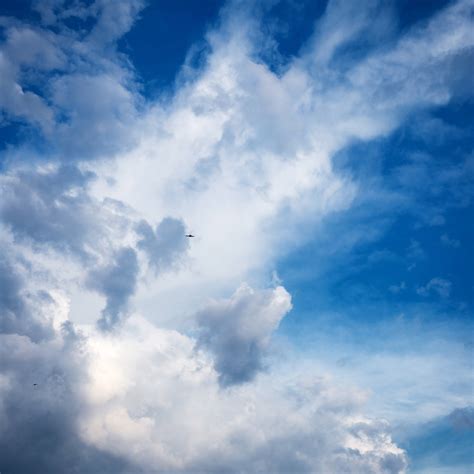 Free Images Nature Horizon Cloud Sunlight Daytime Cumulus Blue