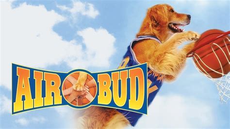 Air Bud 1997 — The Movie Database Tmdb