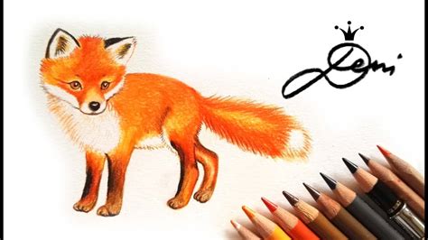 Картинки как нарисовать лису Лиса рисунок Как нарисовать лису