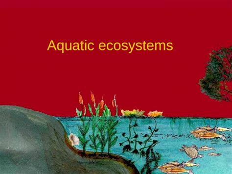 Ppt Aquatic Ecosystems Aquatic Ecosystems Marine Eco Systems Open