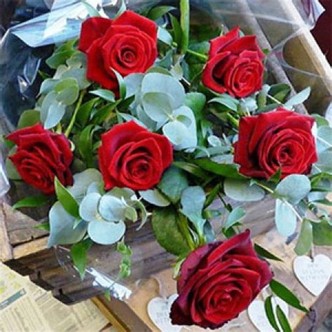 Half Of Dozen Red Roses Primrose Florists