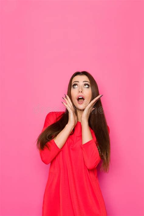 Shocked Fashion Woman Holding Head In Hands Stock Photo Image Of