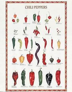 Chili Peppers Fruit Seasons