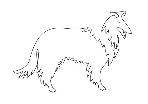 Collie Vector Icon Collie Silhouette One Line For Tattoos 14992523