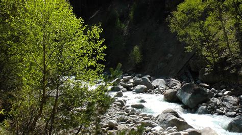 Gambar Pemandangan Pohon Alam Batu Air Terjun Sungai Kecil