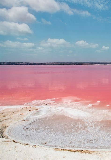 Discover Spains Stunning Pink Lake Laguna Salada De Torrevieja