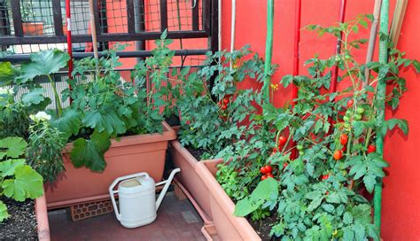 How to do a small vegetable garden. Urban Vegetable Garden Tips for Small Spaces | BuildDirect