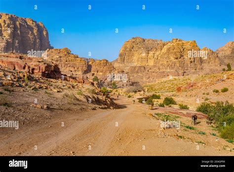 Petra Valley In Jordan Stock Photo Alamy