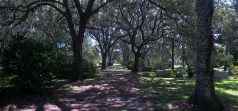 Evergreen Cemetery Gainesville Florida Photo Gallery