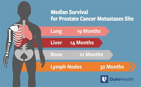 Prostate Cancer With Bone Metastases Prognosis Medicalhealthcare Info