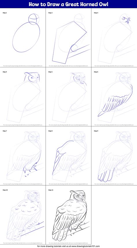 Easy Drawings From Disney How To Draw A Great Horned Owl Printable Step