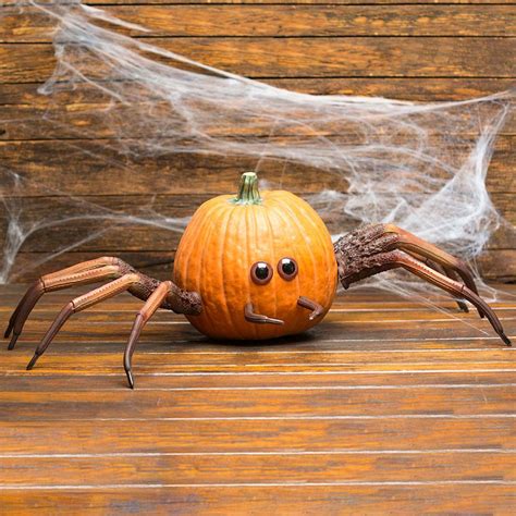 Halloween Spider Pumpkin Appendages The Green Head