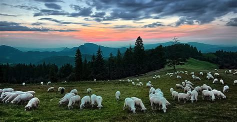 Hd Wallpaper Summer Mountains Nature Fog The Dark Background