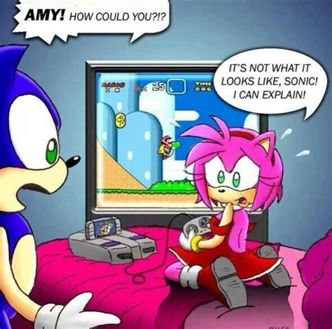 Pin By Bobbi Zupon On Gamer Girl Sonic Sonic Funny Sonic Fan