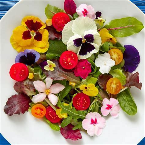 Edible Flowers For Growing Cooking And Garnishing Lettuce Be Farmers