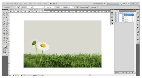 Illustrator uses a transparent background by default. How to Remove Backgrounds in Adobe Illustrator - 10 Easy Steps