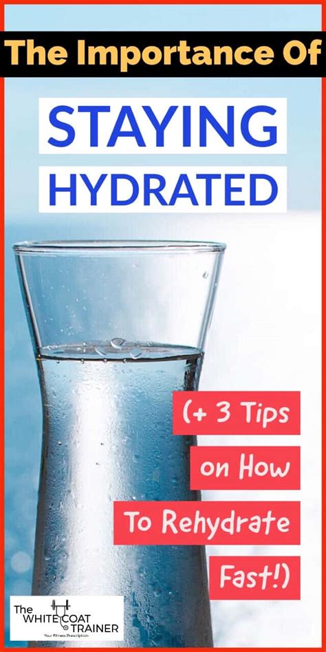 7 Awesome Facts About Hydration Everything You Need To Know The