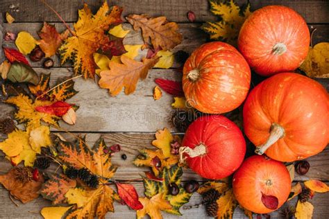 Pumpkins Fall Leaves Stock Photos Download 21611 Royalty Free Photos