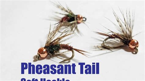 How To Tie A Pheasant Tail Soft Hackle Youtube