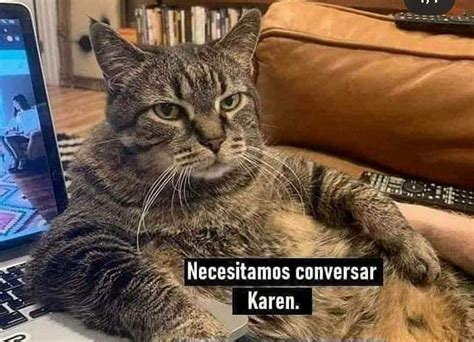 ¿quién Es Karen La Chica Que Mencionan Los Memes De Gatos La Noticia