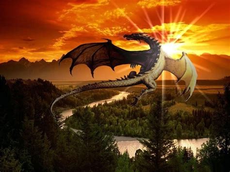 Coolest Dragon Wallpapers ~ 29 Dragon Wallpapers Backgrounds Images