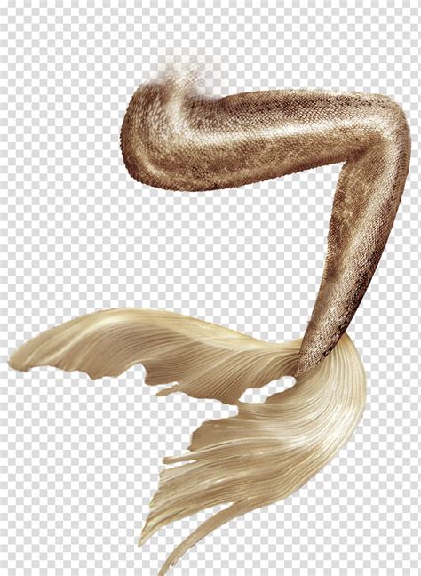 Mermaid Tail Gold Mermaids Tail Transparent Background Png Clipart