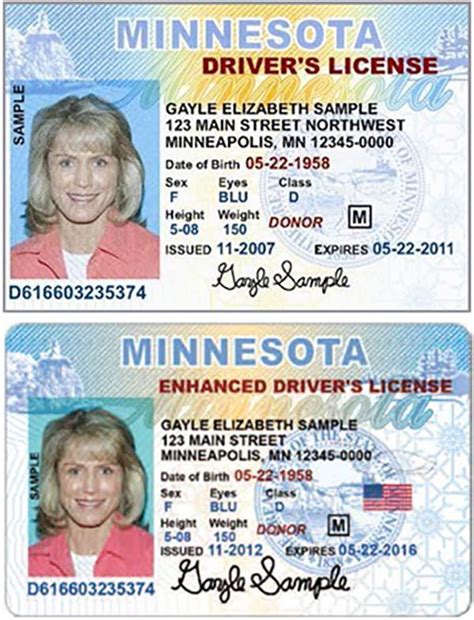 Minnesota Enhanced Drivers License To Fly Youngleqwer