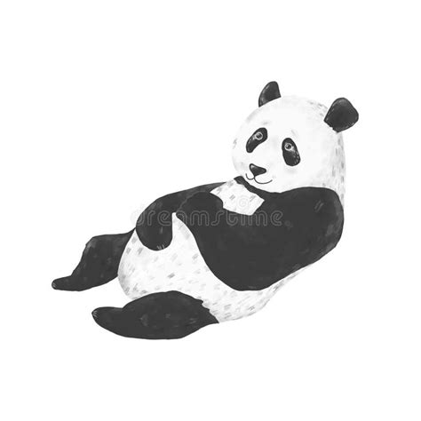 Panda Drawing Stock Illustrations 27385 Panda Drawing Stock