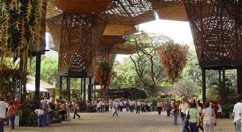 A Guide To The Botanical Gardens In Medellin Casacol