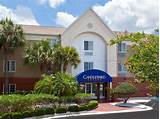 Hotels Near Busch Gardens Florida