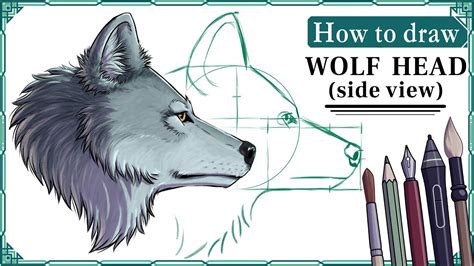 How To Draw Wolf Heads Side View Step By Step Art Tutorial Youtube