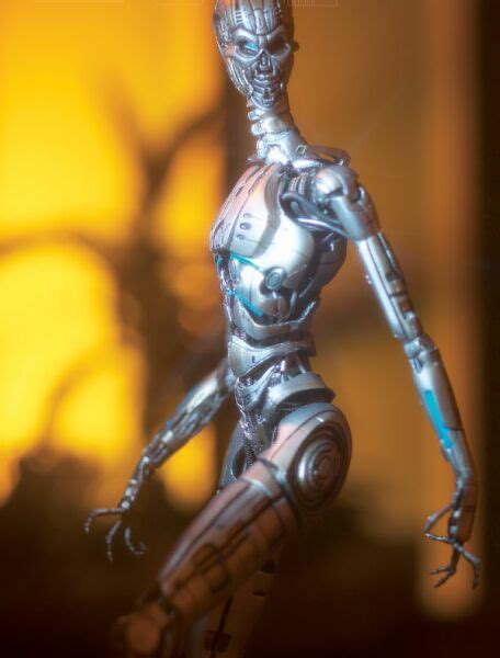 Terminator 3 T X Terminatrix Endoskeleton Figurky A Sošky Fate Gate