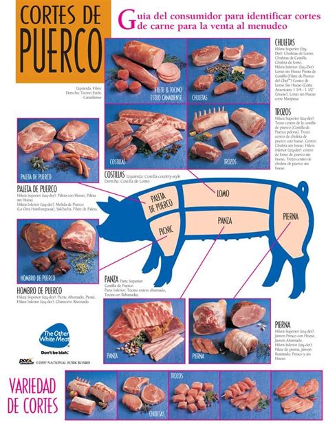 Cortes Del Cerdo Pork Cuts Chart Pork Meat Cuts
