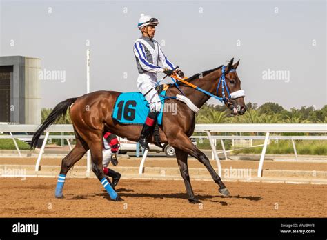 Horse Racing At King Khalid Racetrack Taif Saudi Arabia 22062019