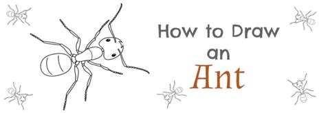 How To Draw An Ant Step By Step Drawing Tutorial