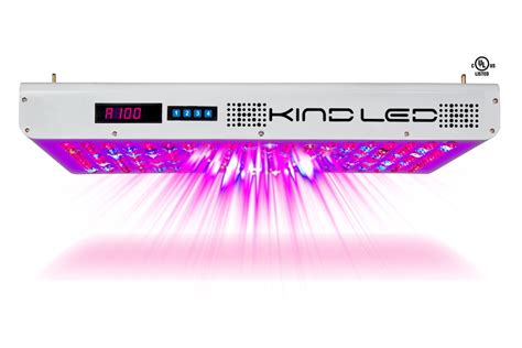 Kind Led Grow Lights Essential To Successful Commercial Grow In Colorado