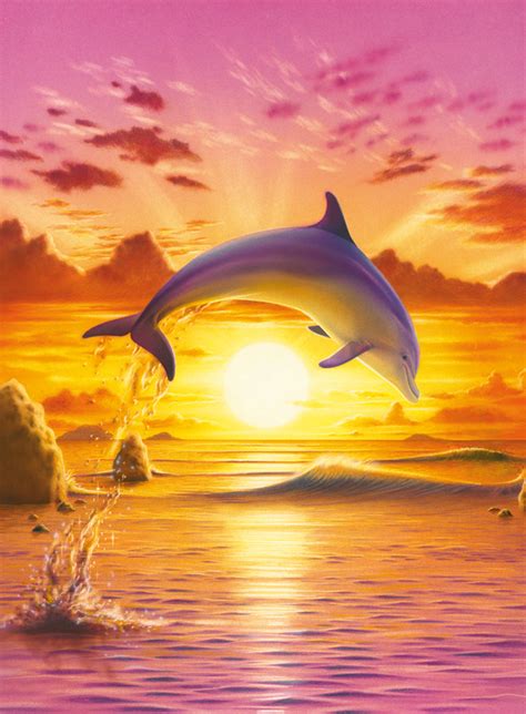 Dolphins Sunset