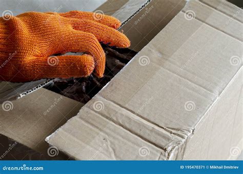 A Worker Wearing Protective Gloves Opens A Cardboard Box Stock Image Image Of Holding