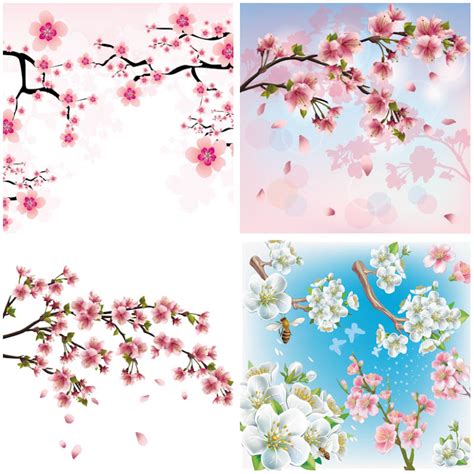 Cherry Blossom Vector Art At Collection Of Cherry